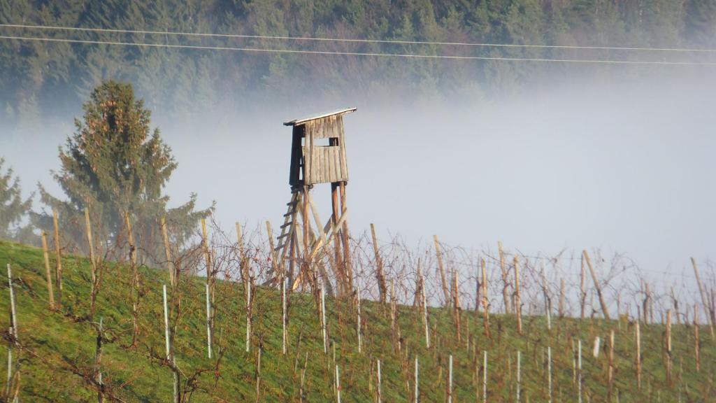 Gasthof Weingut Winzerzimmer Toso 3*