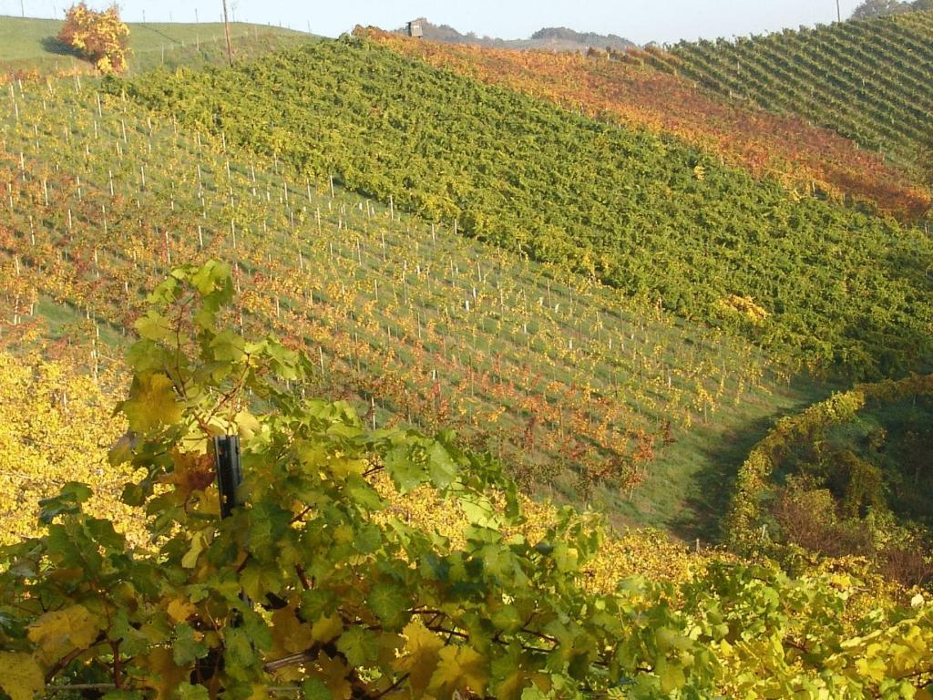 Weingut Winzerzimmer Toso Leutschach